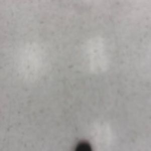 Meet your Posher, Bertha